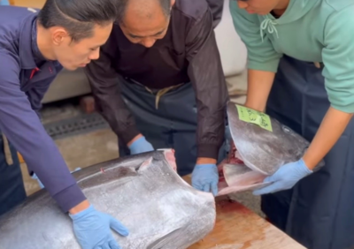 生麦旧東海道まつり