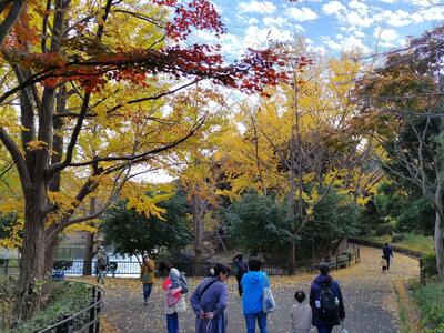 三ツ池公園の紅葉