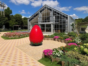 YOKOHAMA STRAWBERRY PARK（横浜ストロベリーパーク）の写真