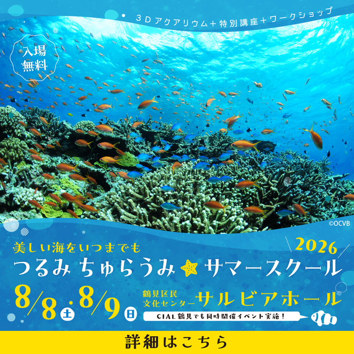つるみ・ちゅらうみサマースクール2026