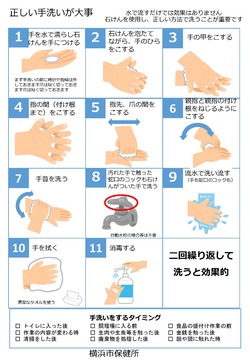 正しい手洗いについて（日本語）