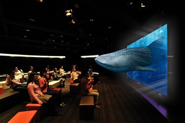 3D映像上映イメージ写真