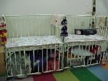 Kids land bed