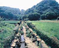 鶴見の自然環境と景観 横浜市鶴見区