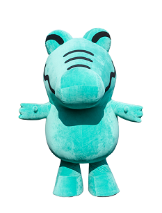 バルーンタイプの写真