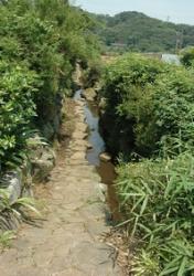 公園や自然2 横浜市鶴見区