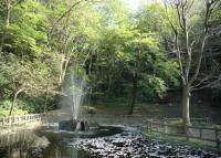 公園や自然2 横浜市鶴見区