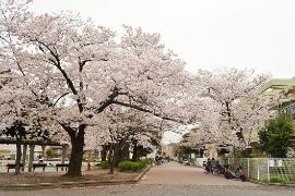 Imagen de parque de Shiota