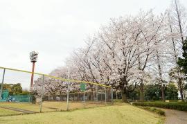 Imagen del parque de Irifune