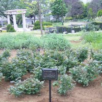 港の見える丘公園の様子