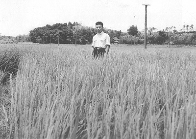 稲穂の皆川青年