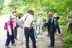 地域団体による活動の様子の写真