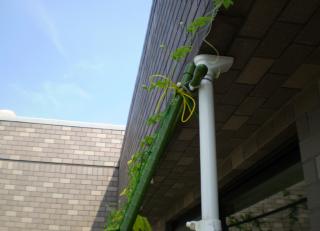 つっぱりポールの支柱