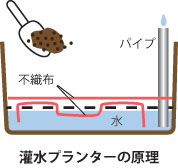 潅水フプランター