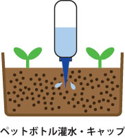 ペットボトル潅水１