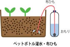 ペットボトル潅水２