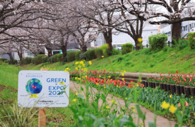 江川せせらぎ緑道