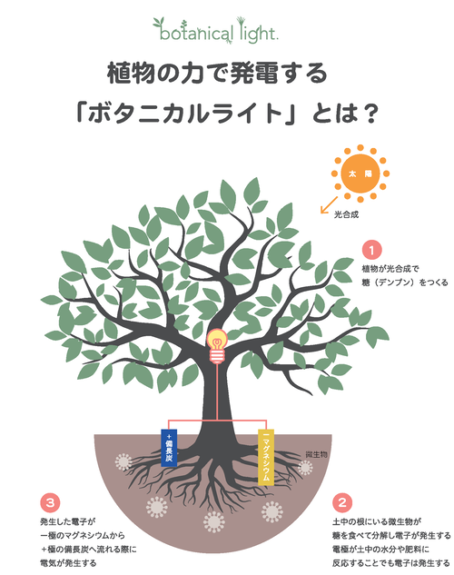 仕組みのイメージ図