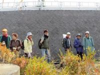 お花見ウォーク2