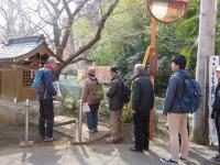 お花見ウォーク3