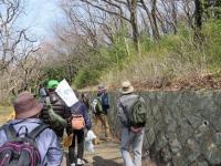 お花見ウォーク5