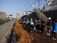 たねまき・花うえイベント3