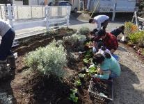 たねまき・花うえイベント5