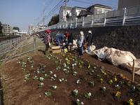 たねまき・花うえイベント6