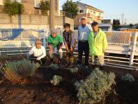 地域の方々によるラベンダーの植え付け1