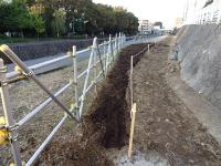 抜根、石の除去、腐葉土入れなどイベントの準備2