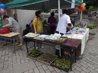 ふれあいフェスタ中川2