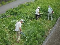 早渕川クリーンアップ大作戦2016