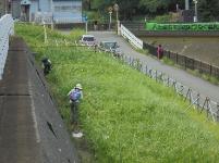 Hoạt động làm sạch sông Hayabuchi 2016