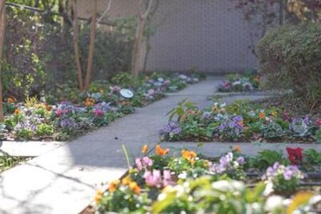 つづき彩りガーデン