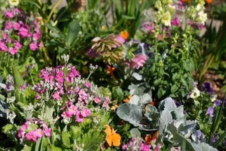 ガーデンの写真