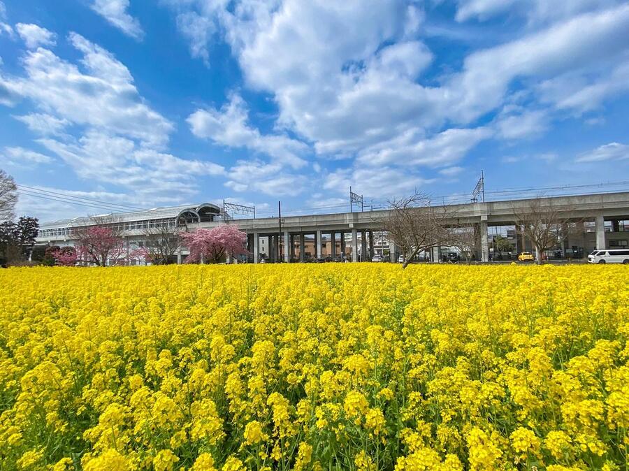 最優秀賞の写真