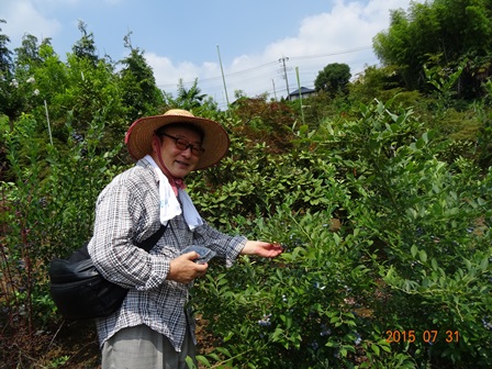 活動写真