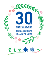 Logotipo del 30 anual