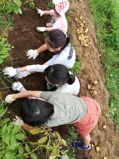Farming experience of farming in Chako Village