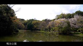 鸭池公园的池塘和周围的树木